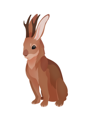 Jackalope